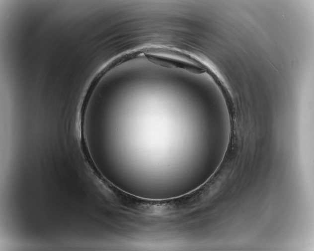 X0000088690791200705311156