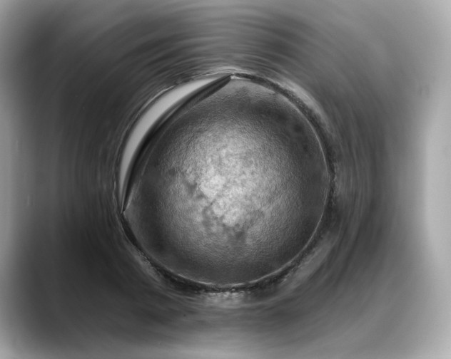 X0000088690793200705311156