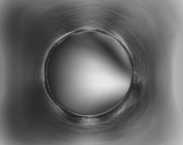 X0000088690795200705311156