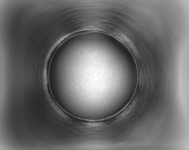 X0000088690796200705311156