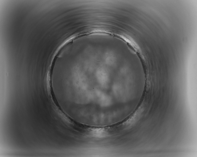 X0000088690798200705311155