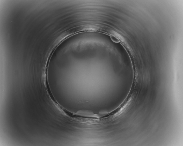 X0000088690802200705311155