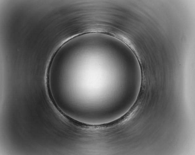X0000088690803200705311155