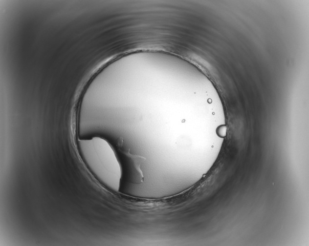 X0000088690804200705311155