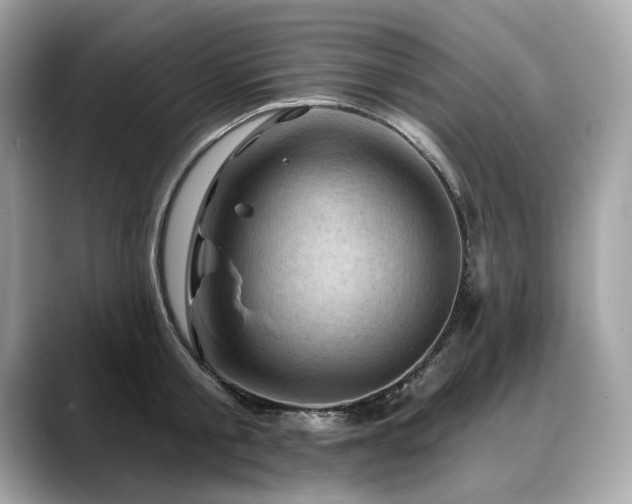 X0000088690805200705311155