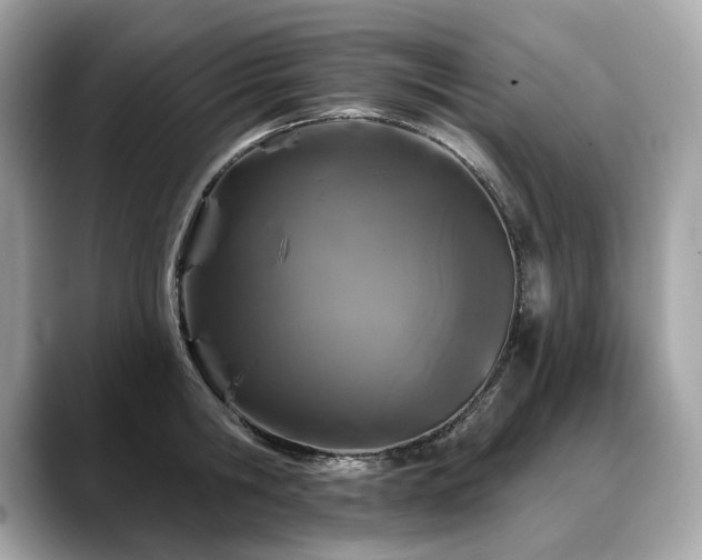 X0000088690806200705311155