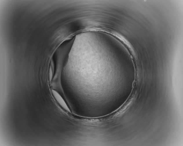 X0000088690809200705311155