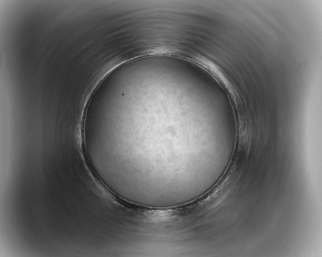 X0000088690810200705311155