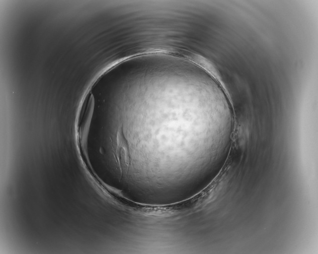 X0000088690811200705311155