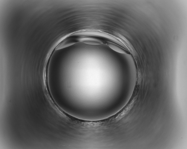X0000088690812200705311155