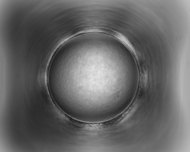 X0000088690813200705311155