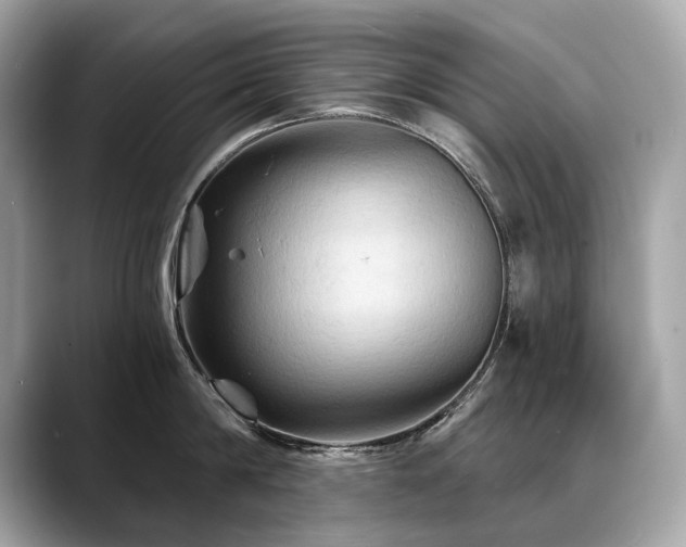X0000088690814200705311155