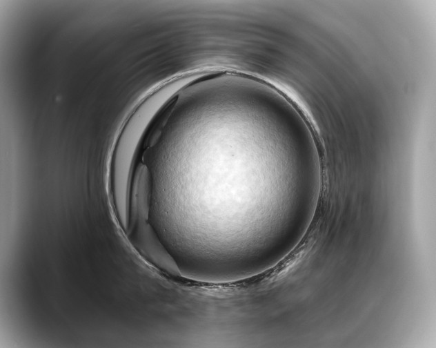 X0000088690815200705311155