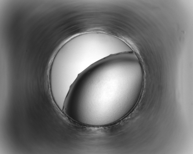 X0000088690816200705311155