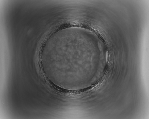 X0000088690817200705311155