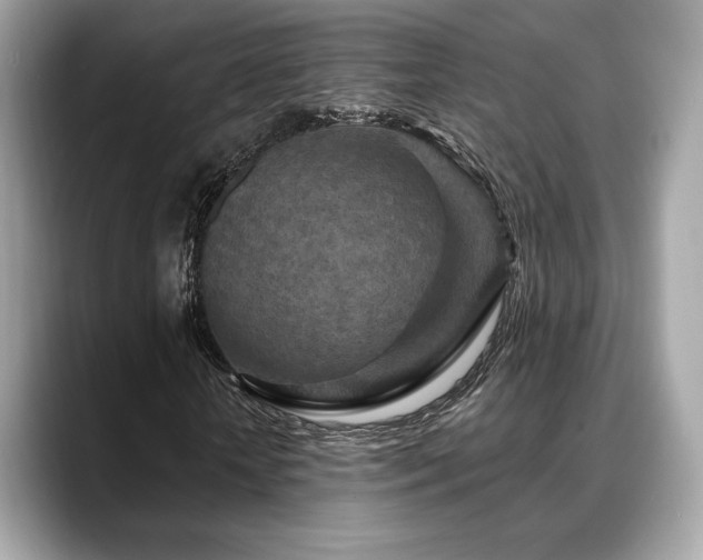 X0000088690818200705311155