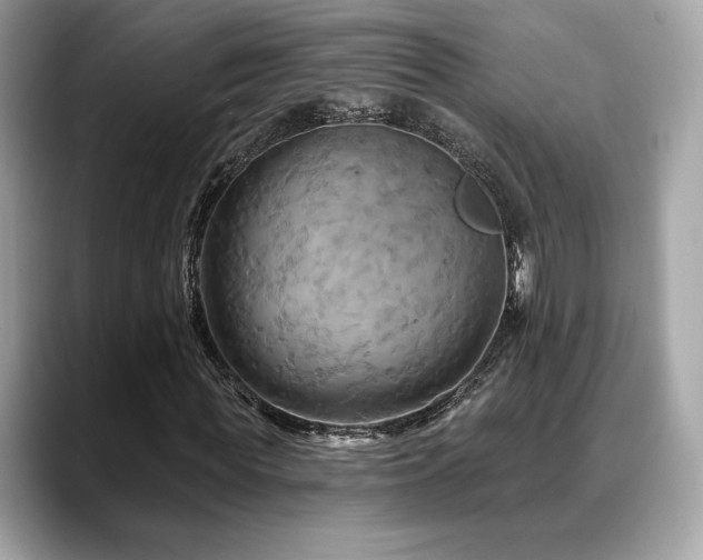 X0000088690819200705311155