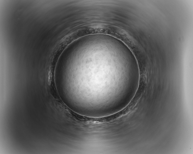 X0000088690821200705311155