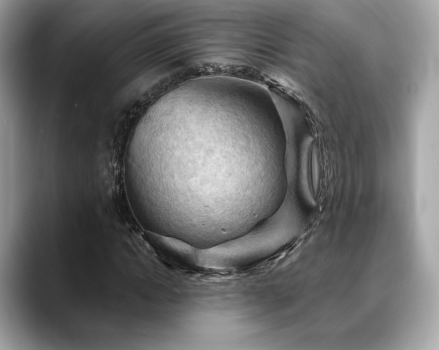 X0000088690822200705311155