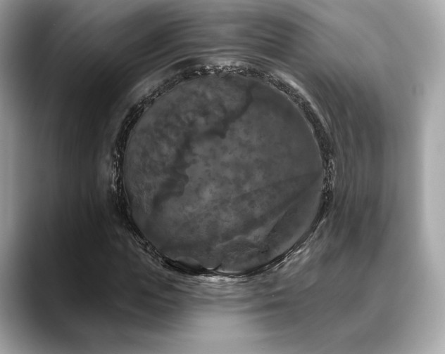 X0000088690823200705311155