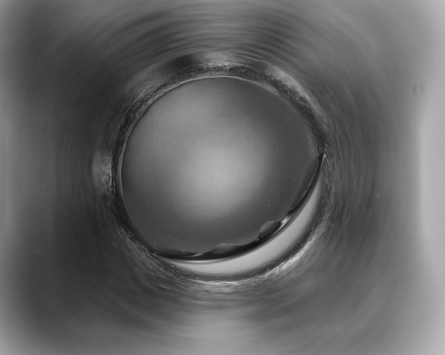 X0000088690825200705311155