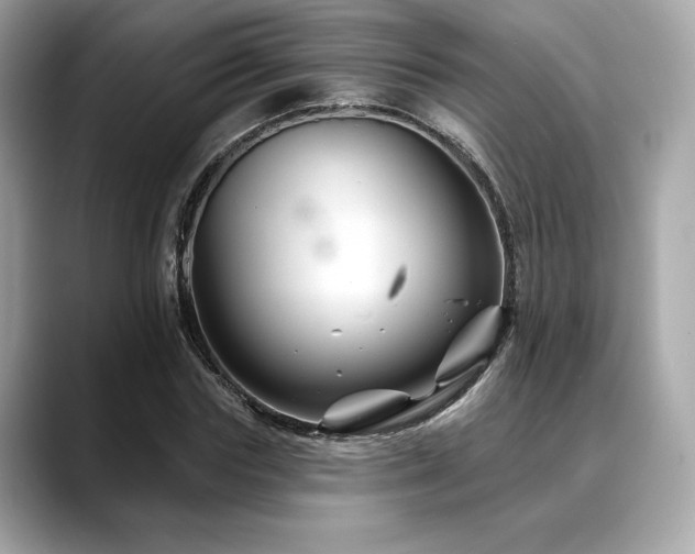 X0000088690827200705311155