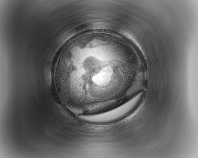 X0000088690829200705311155