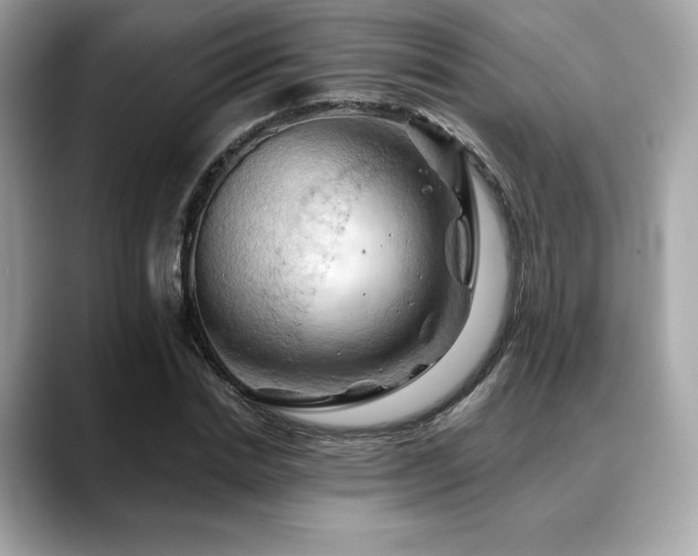 X0000088690830200705311155