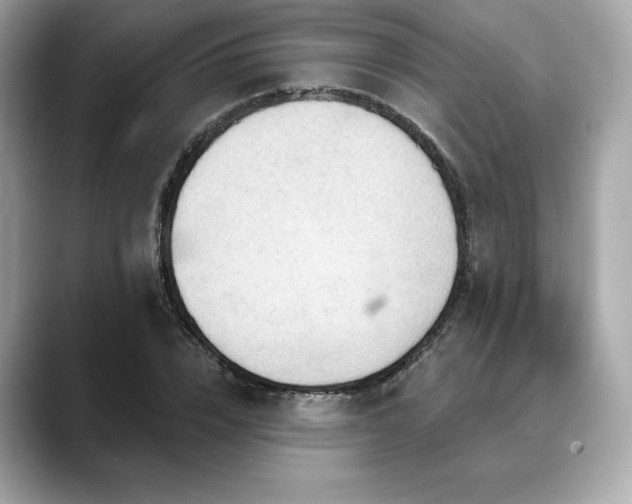 X0000088690832200705311155
