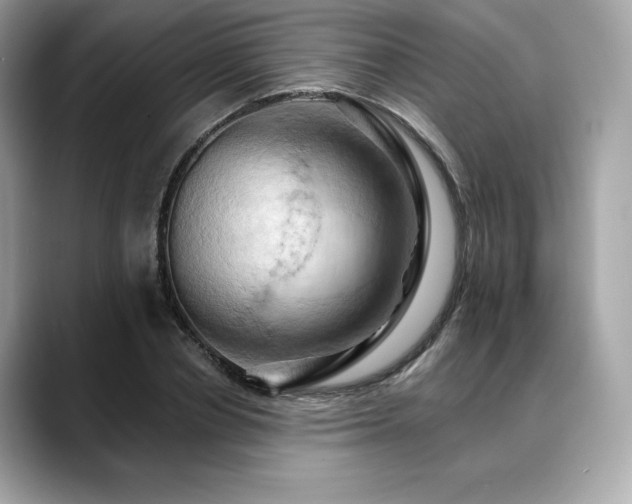X0000088690834200705311155