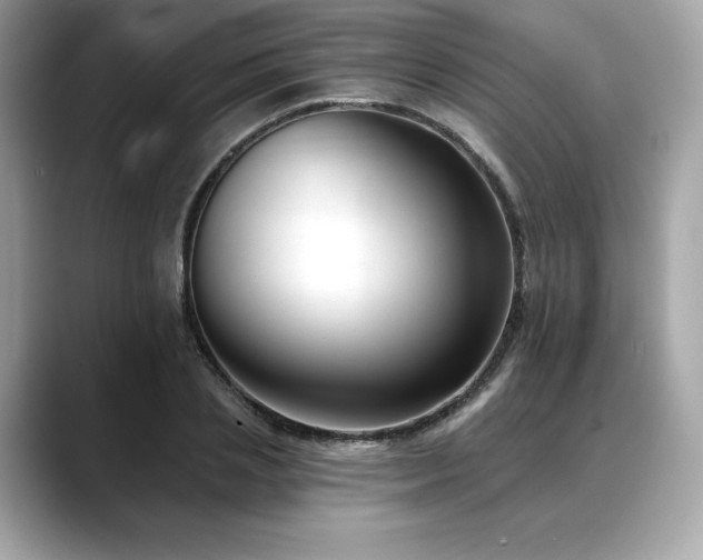 X0000088690837200705311155