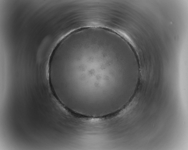 X0000088690839200705311155