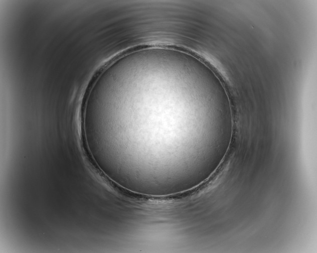 X0000088690840200705311155