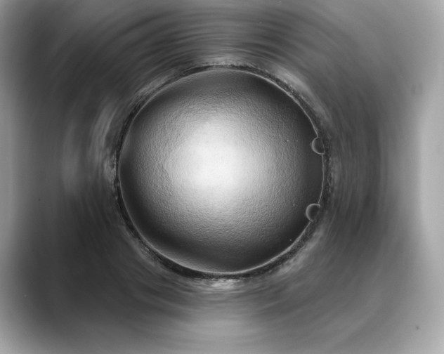 X0000088690841200705311155
