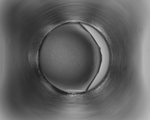 X0000088690842200705311155