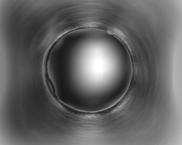 X0000088690843200705311155