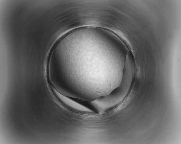 X0000088690846200705311155
