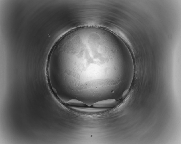 X0000088690847200705311155