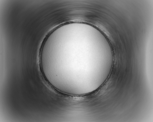 X0000088690848200705311155