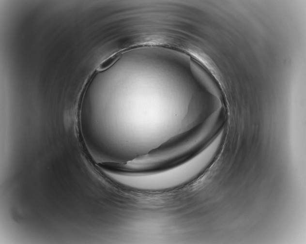 X0000088690850200705311155