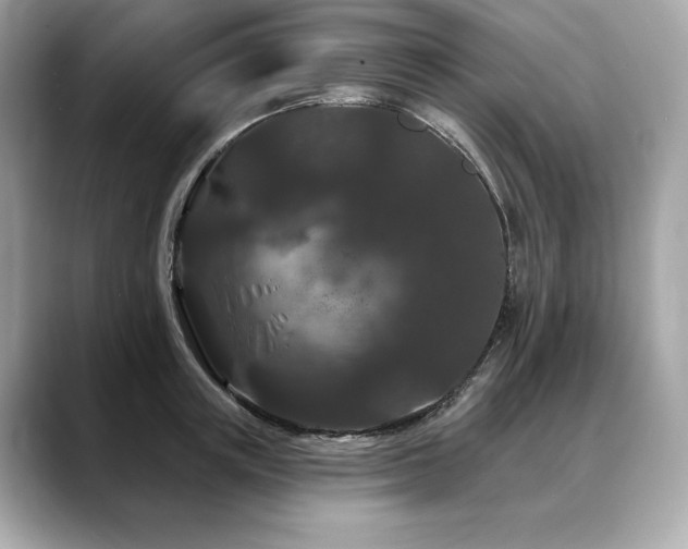 X0000088690851200705311155