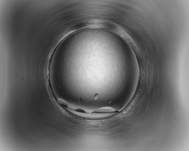 X0000088690852200705311155