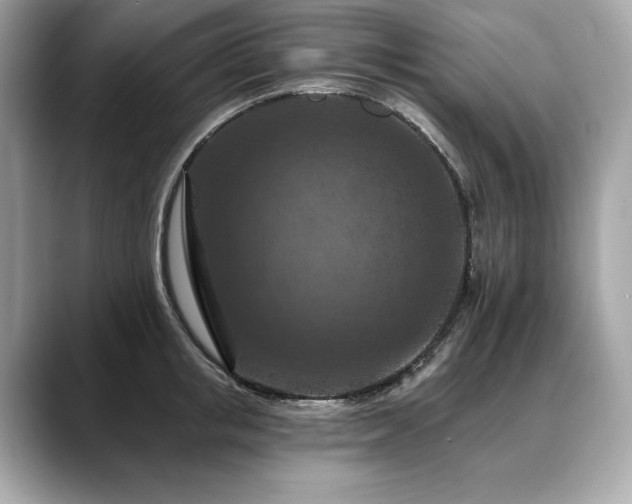 X0000088690853200705311155