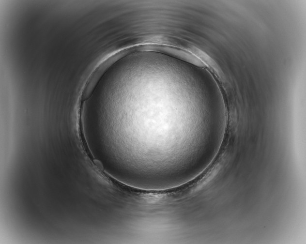 X0000088690854200705311155