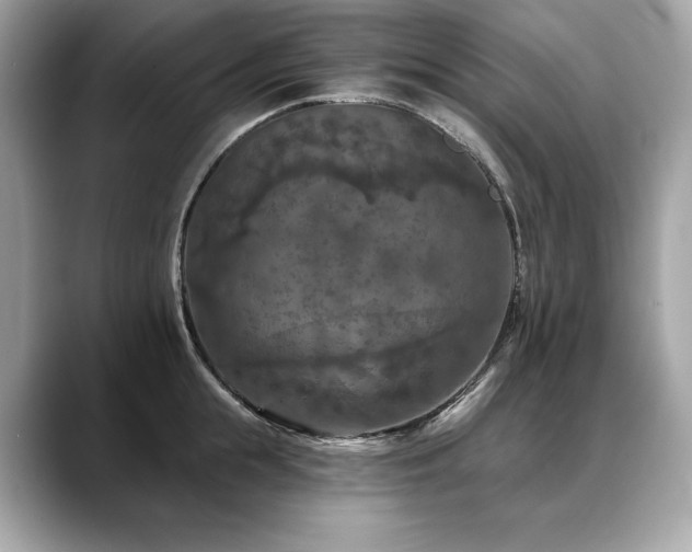 X0000088690855200705311155