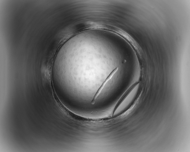 X0000088690857200705311155