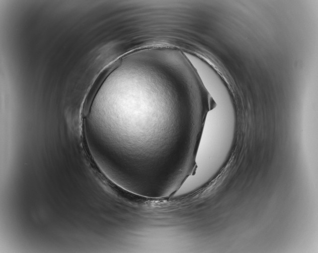 X0000088690858200705311155