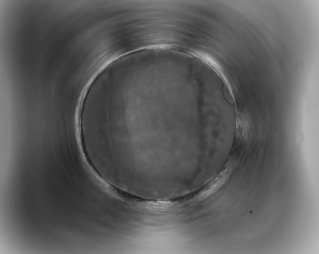 X0000088690859200705311155