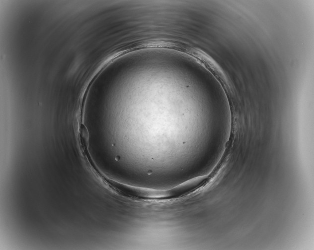 X0000088690860200705311155