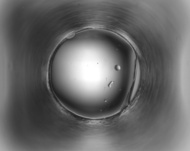 X0000088690861200705311155